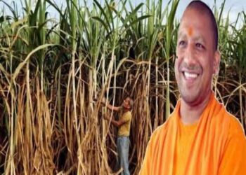 किसानों के लिए खुशखबरी, 25 रुपए बढ़ेगा गन्ने का दाम, योगी कैबिनेट की बैठक कल मुहर