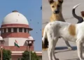 NCR से तुरंत उठाना शुरू करो कुत्ते, सुप्रीम कोर्ट का लिखित ऑर्डर आया सामने